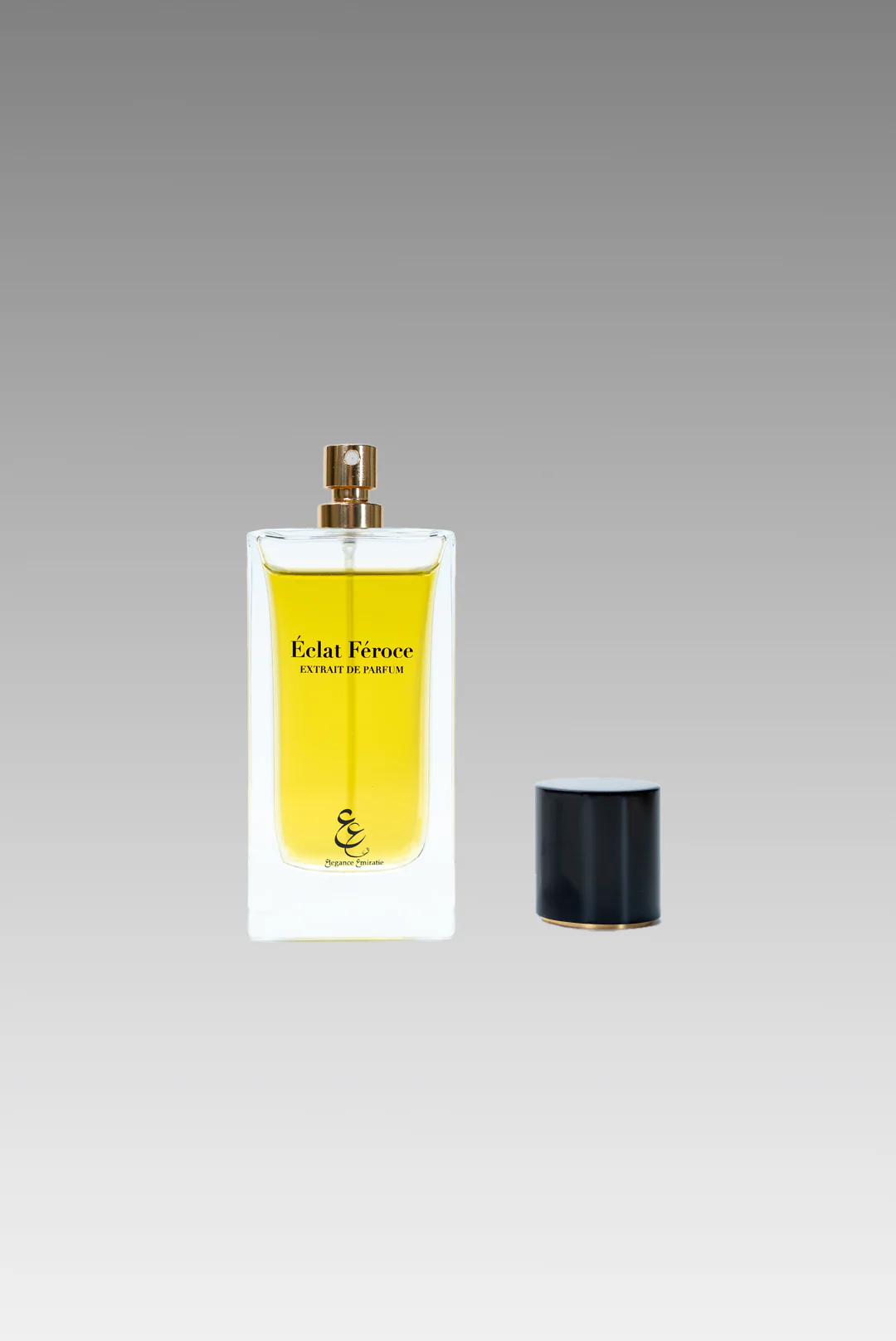 ÉCLAT FÉROCE - Image 14