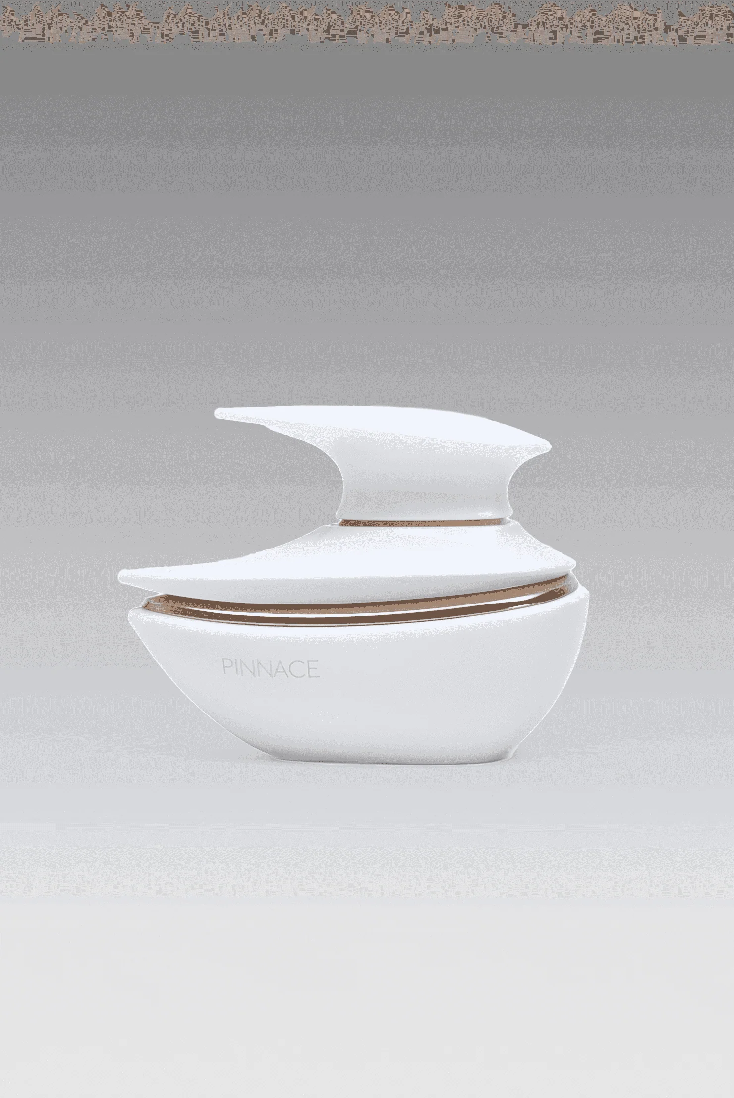 PINNACE - Image 3